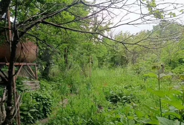 Дача 71 м на участке 4 сот. - Фото 0