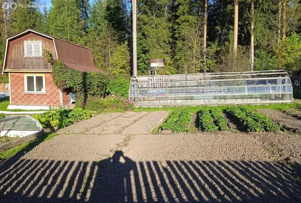 Дом в Кирово-Чепецкий район, Федяковское сельское поселение, СДТ ... - Фото 2