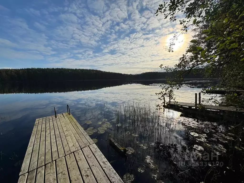 Дом в Карелия, Олонецкий район, Коверское с/пос, д. Сяндеба  (120 м) - Фото 2