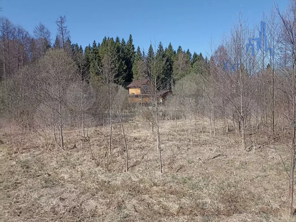 Участок 4,8 сот. (ИЖС) - Фото 1