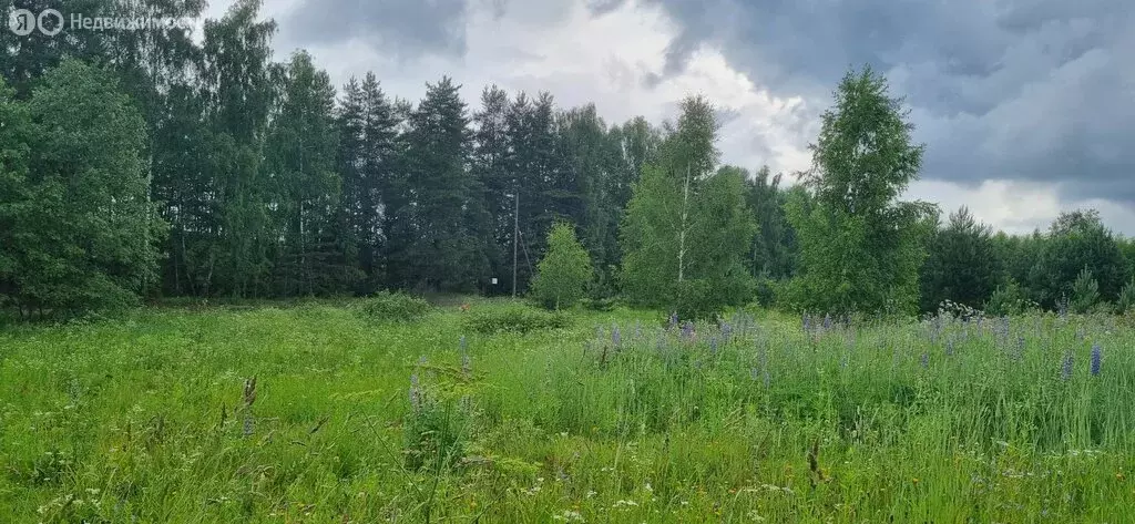 Участок в Одинцовский городской округ, деревня Новошихово (11.2 м) - Фото 1