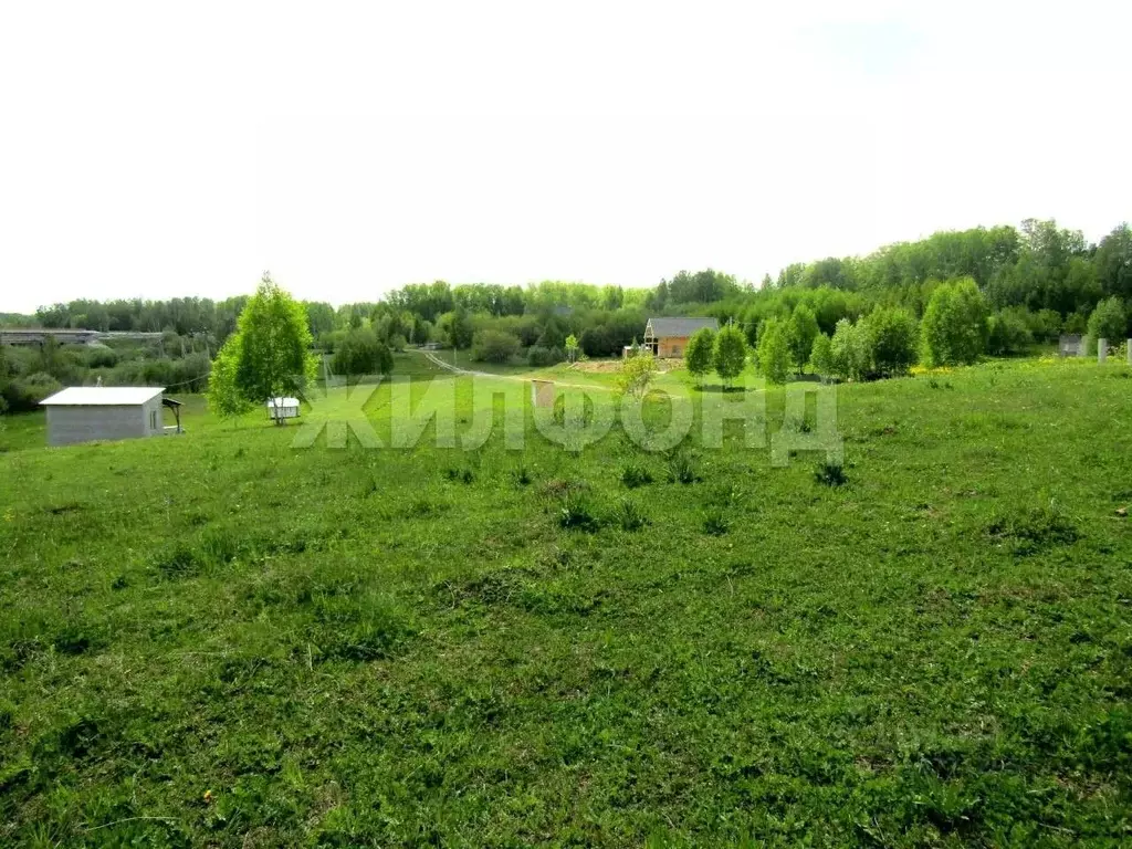 Участок в Новосибирская область, Новосибирский район, с. Раздольное ... - Фото 0