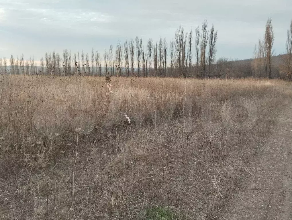 Участок 4,5 сот. (ИЖС) - Фото 1