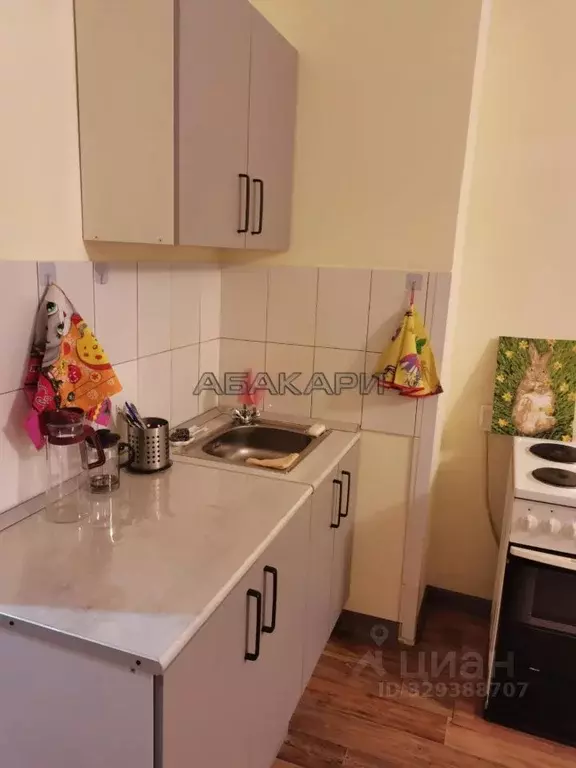Студия Красноярский край, Красноярск ул. Вильского, 28 (25.0 м) - Фото 2