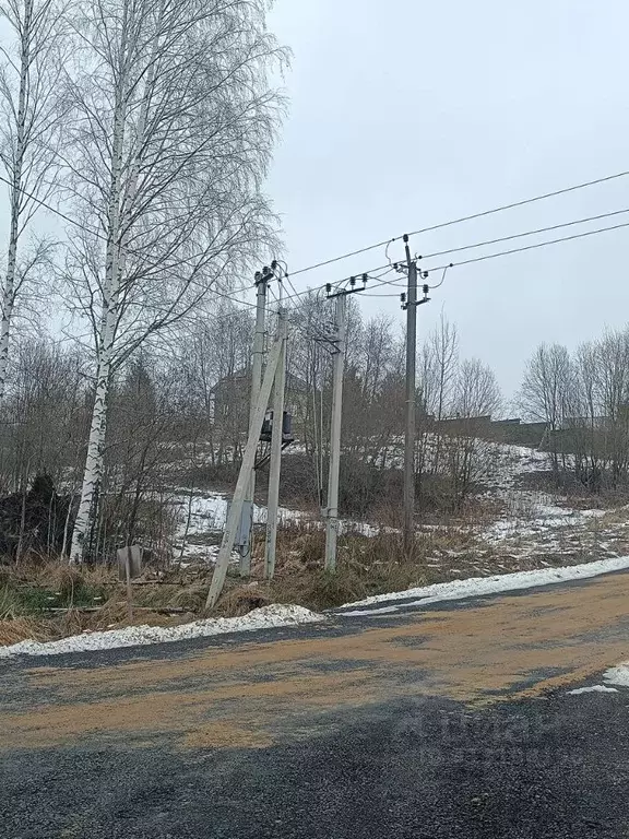 Участок в Ленинградская область, Всеволожский район, Куйвозовское ... - Фото 1