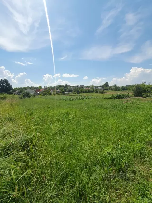 Участок в Белгородская область, Белгородский район, с. Стрелецкое ... - Фото 0