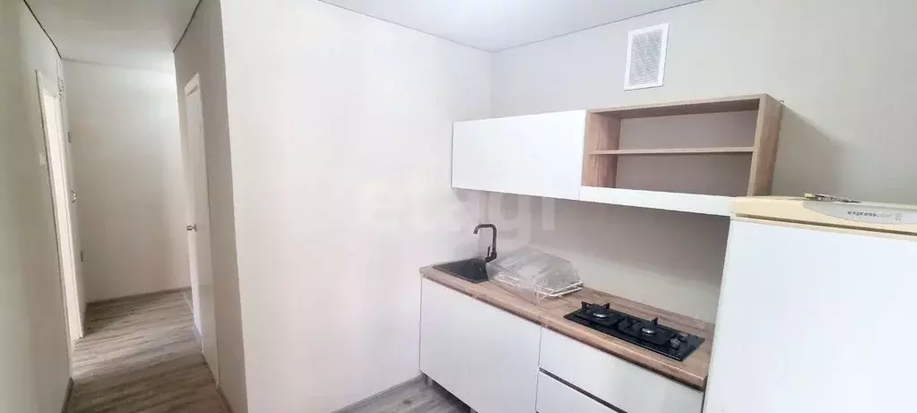 1-к кв. Воронежская область, Воронеж ул. Хользунова, 25 (28.2 м) - Фото 1