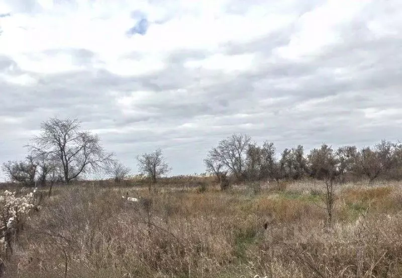 Участок в Ростовская область, Ростов-на-Дону Кумженское СНТ, ул. 6-я ... - Фото 1