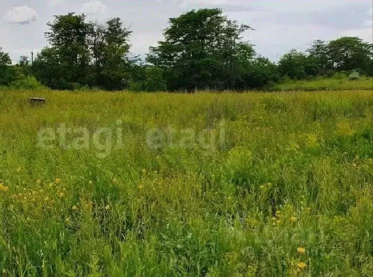 Участок в Ростовская область, Мясниковский район, Краснокрымское ... - Фото 0