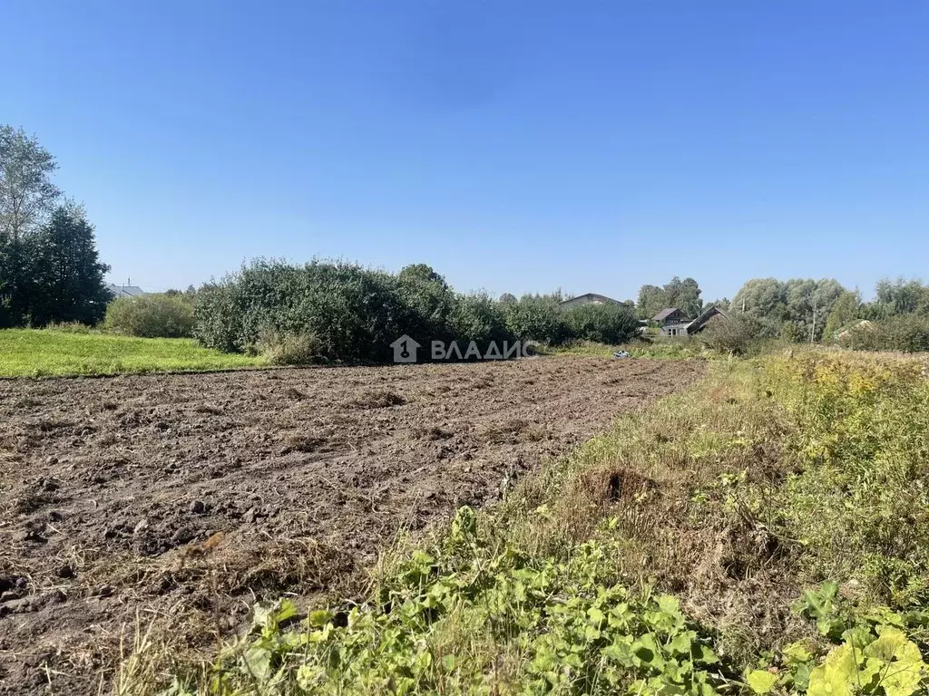 Участок в Владимирская область, Суздальский район, с. Павловское  ... - Фото 0