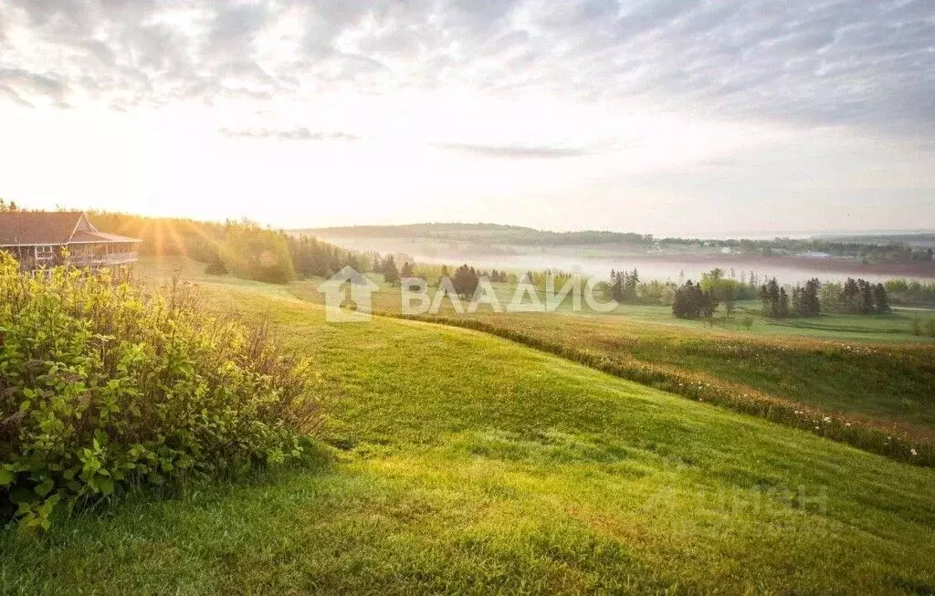 Участок в Нижегородская область, Богородский муниципальный округ, с. ... - Фото 2