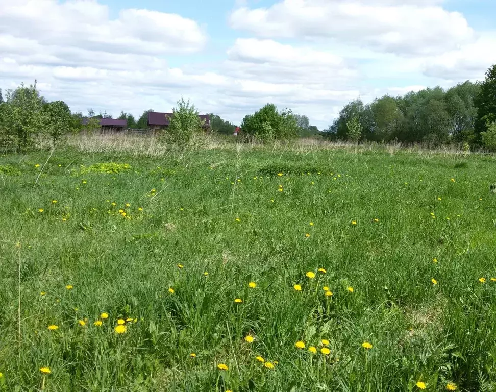 Участок в Новгородская область, Новгородский район, Бронницкое с/пос, ... - Фото 2