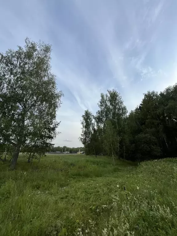 Участок в Московская область, Раменский муниципальный округ, ... - Фото 1