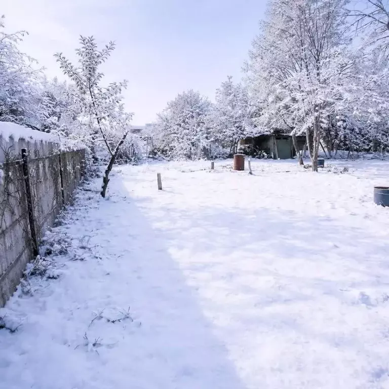 Дом в Брянская область, Брянск Мичуринец садовое общество,  (36 м) - Фото 1