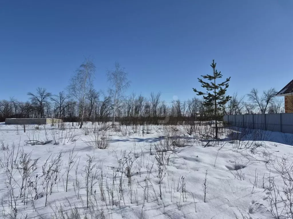 Участок в Воронежская область, Борисоглебск ул. Семейная, 12 (6.43 ... - Фото 2