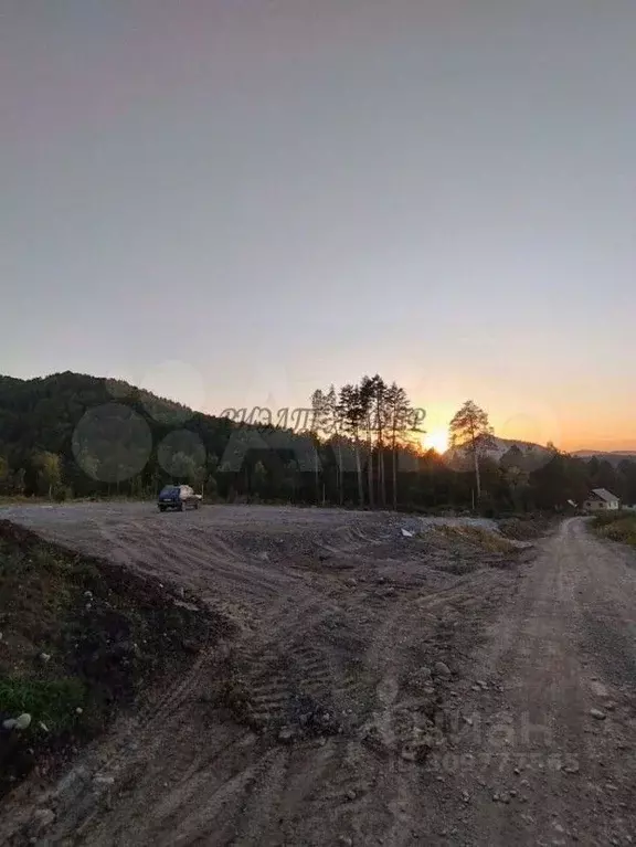 Участок в Алтай, Майминский район, с. Озерное ул. Майская (10.0 сот.) - Фото 1