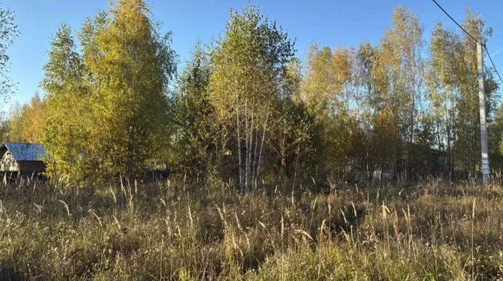 Участок в Московская область, Кашира Ожерелье мкр,  (12.0 сот.) - Фото 1