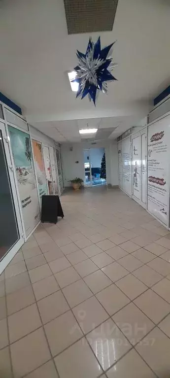 Помещение свободного назначения в Омская область, Омск ул. Красный ... - Фото 2