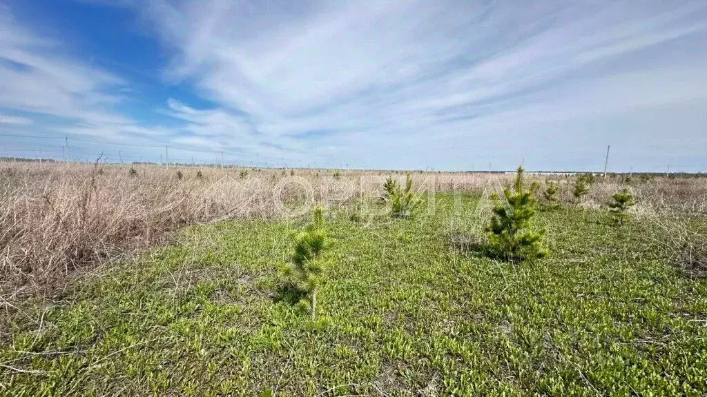 Участок в Тюменская область, Тюменский район, д. Малиновка  (5.0 сот.) - Фото 2