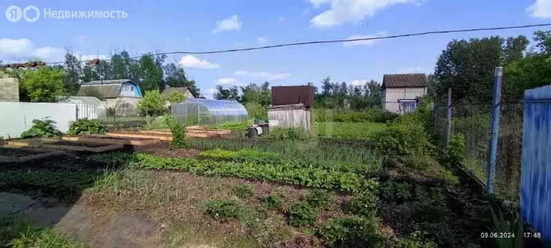 Участок в Наумовский сельсовет, СНТ Лесное (5.72 м) - Фото 2