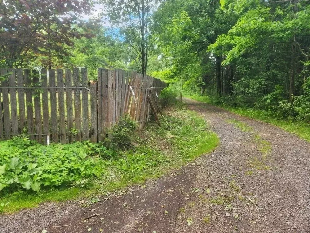 Участок в Московская область, Щелково городской округ, Лайнер садовое ... - Фото 1