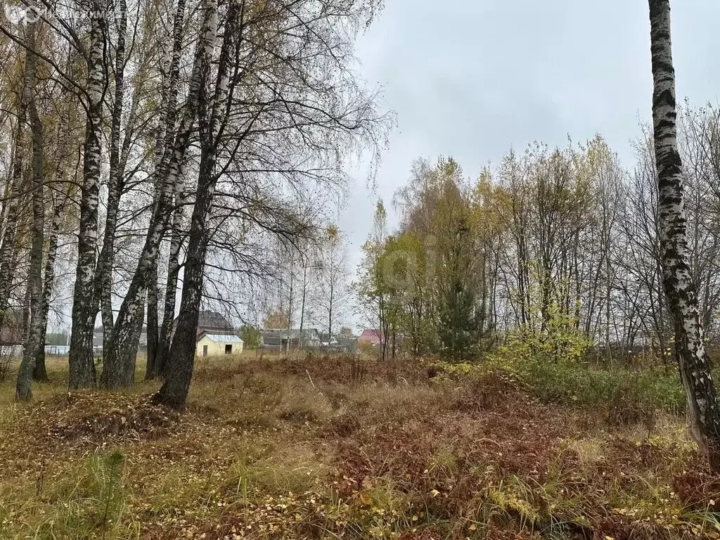 Участок в Брянский район, Новодарковичское сельское поселение, деревня ... - Фото 1