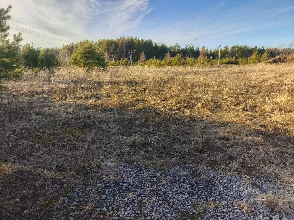 Участок в Ярославская область, Пошехонский муниципальный округ, д. ... - Фото 1