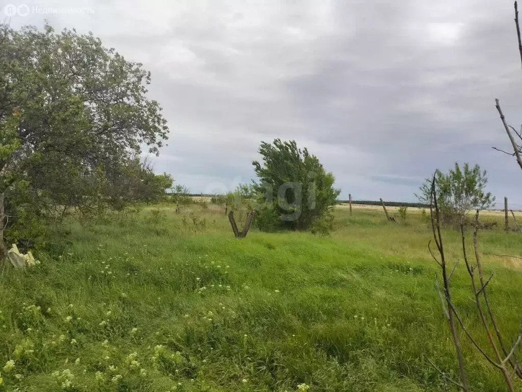 Участок в Урожайновское сельское поселение, СТ Надежда (11 м) - Фото 1