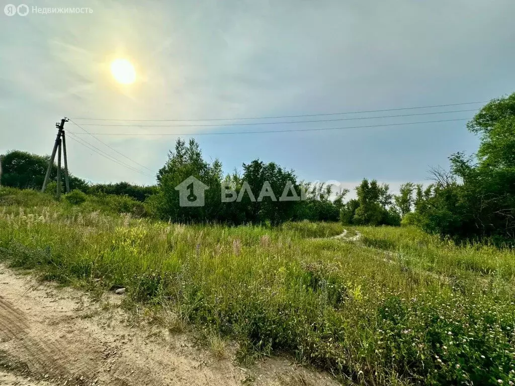 Участок в Мокшанский район, село Симбухово, Рабочая улица, 5 (153.41 ... - Фото 1