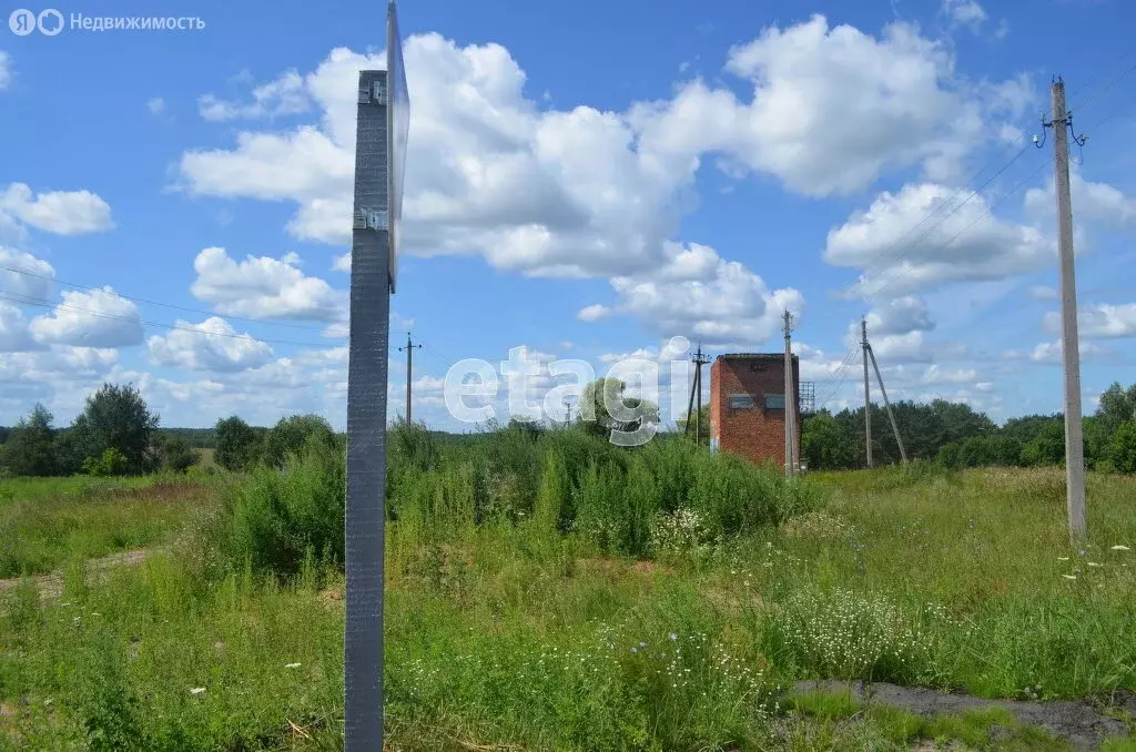 Участок в Брянская область, Жуковский муниципальный округ, село ... - Фото 1