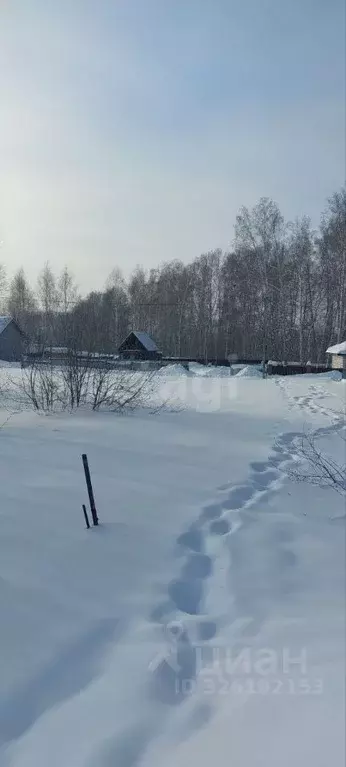 Участок в Новосибирская область, Новосибирский район, Каменский ... - Фото 2