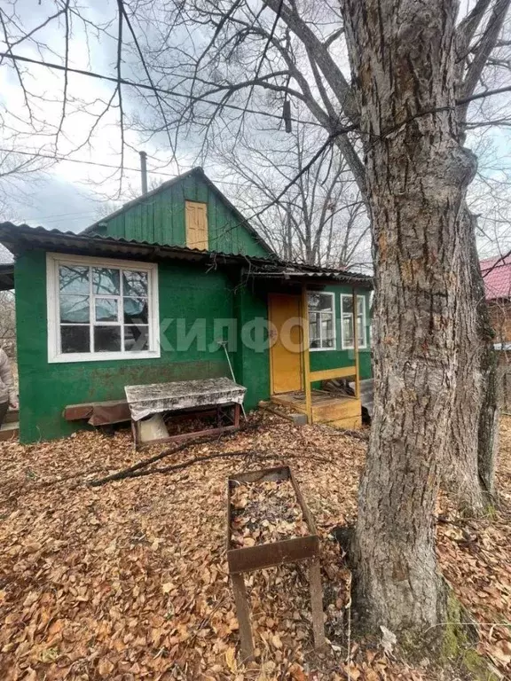 Дом в Амурская область, Благовещенск Родник СНТ,  (40 м) - Фото 1