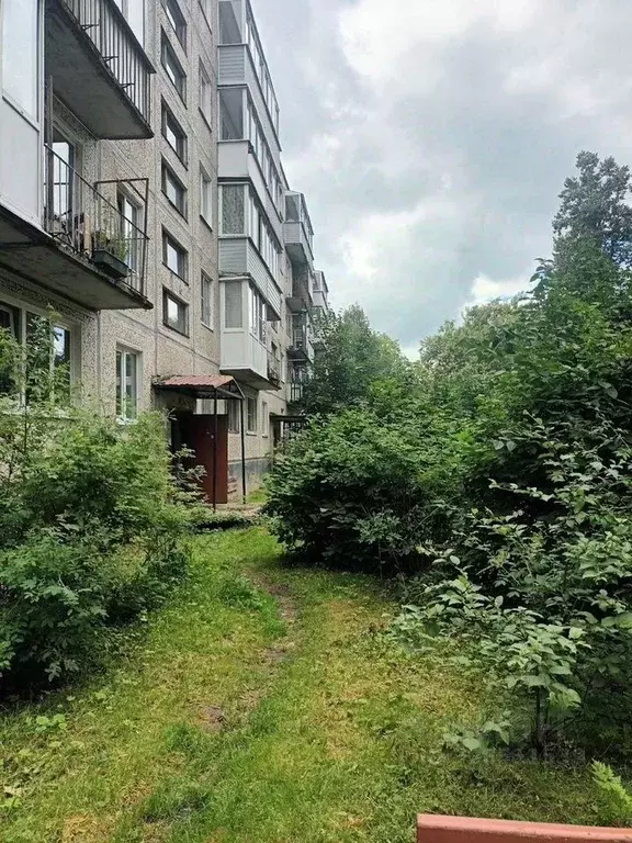 3-к кв. Ленинградская область, Волосовский район, Клопицкое с/пос, ... - Фото 1