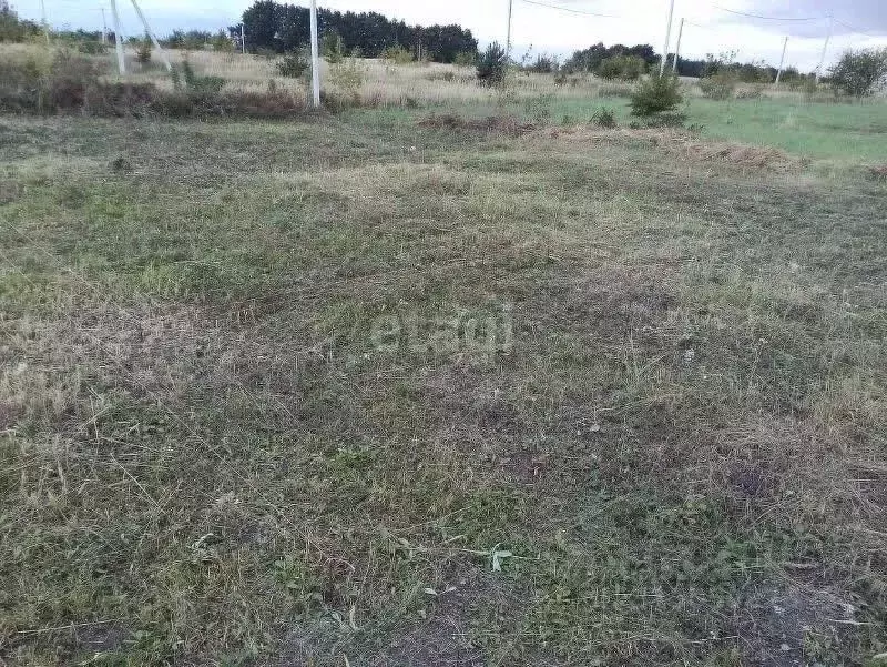 Участок в Белгородская область, Старооскольский городской округ, с. ... - Фото 1