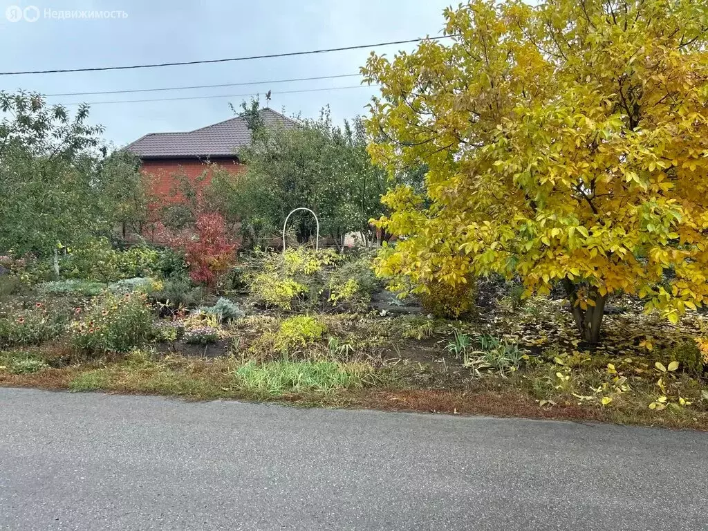 Участок в Репное, 2-я Центральная улица (26.2 м) - Фото 1