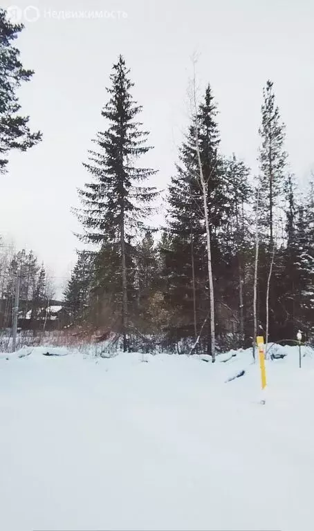 Участок в Ревда, Финишная улица (10 м) - Фото 1