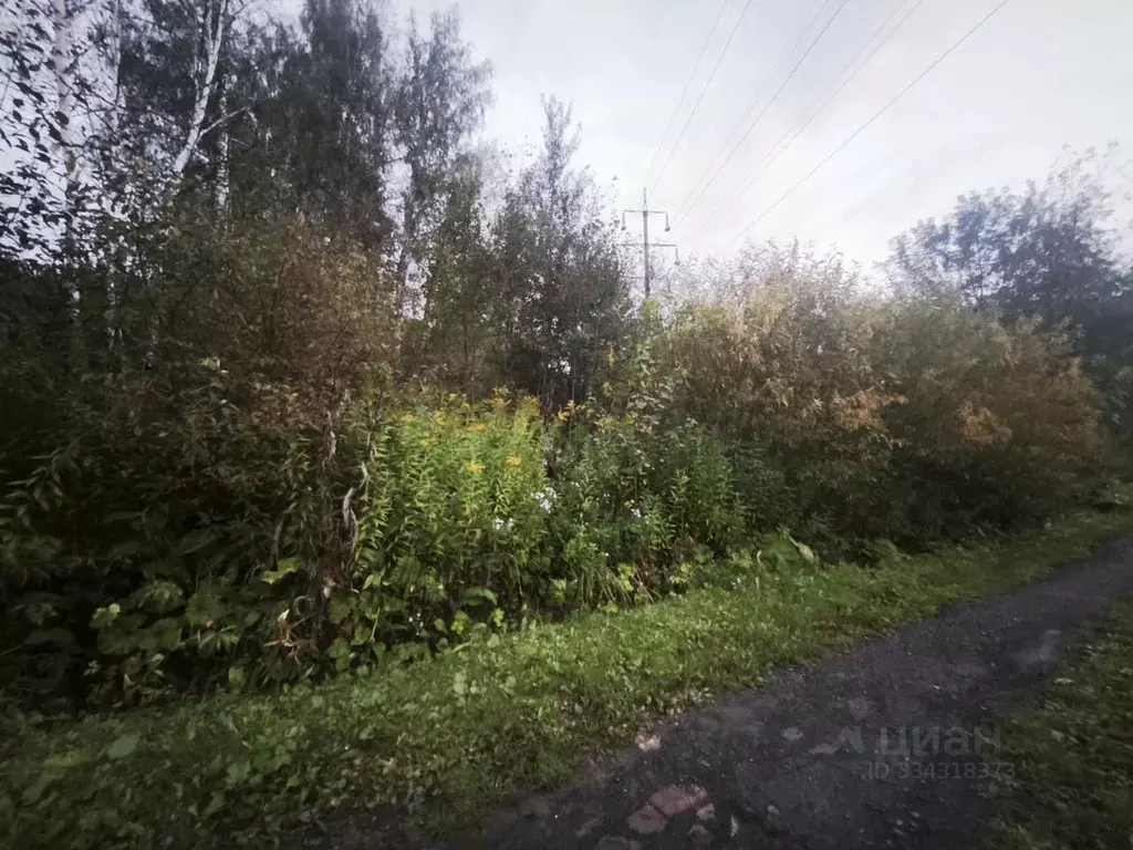 Участок в Новосибирская область, Новосибирск  (8.0 сот.) - Фото 2