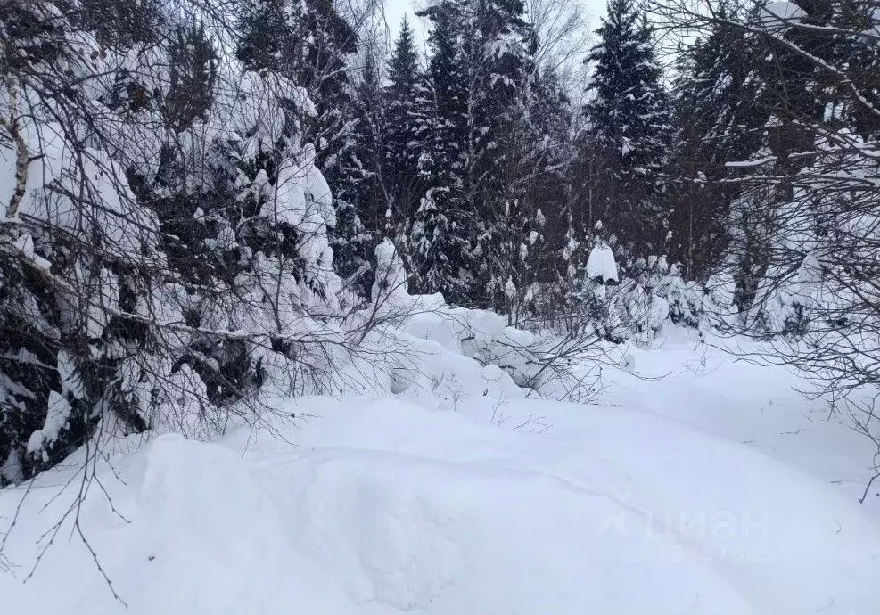 Участок в Московская область, Чехов муниципальный округ, д. Мерлеево  ... - Фото 1