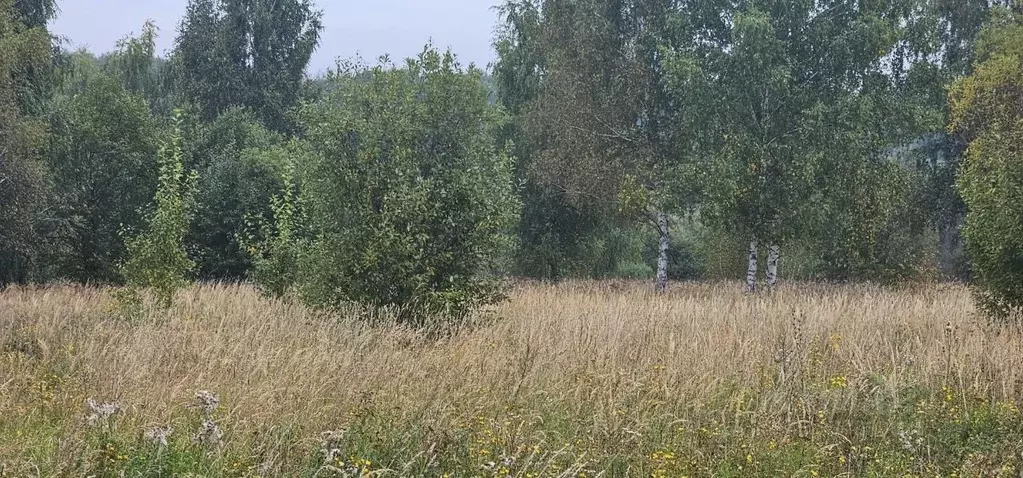 Участок в Московская область, Луховицы ул. Усадебная, 13 (12.61 сот.) - Фото 1