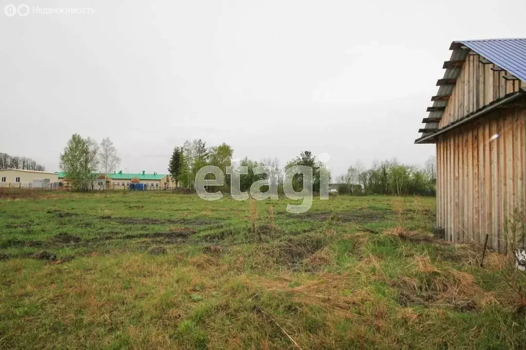 Участок в село Верхние Аремзяны, улица Тимофея Чаркова (20.41 м) - Фото 2