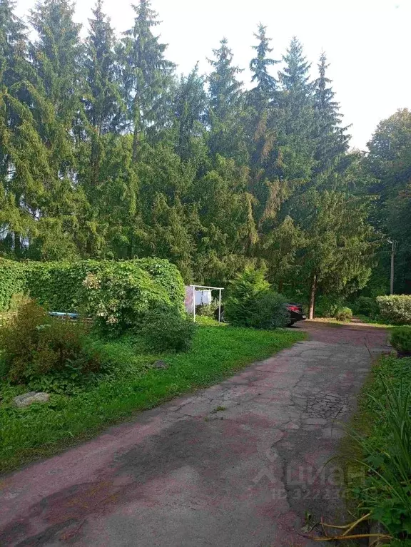 2-к кв. Новгородская область, Новгородский муниципальный район, ... - Фото 2