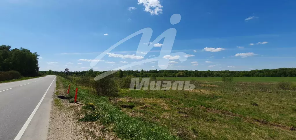 Продается участок в д. Веселево - Фото 1