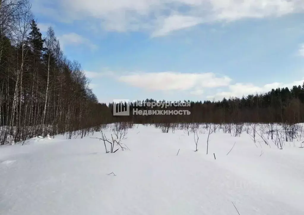 Участок в Ленинградская область, Всеволожский район, Куйвозовское ... - Фото 0