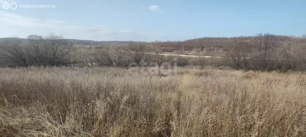 Участок в Амурская область, Благовещенский муниципальный округ, село ... - Фото 0