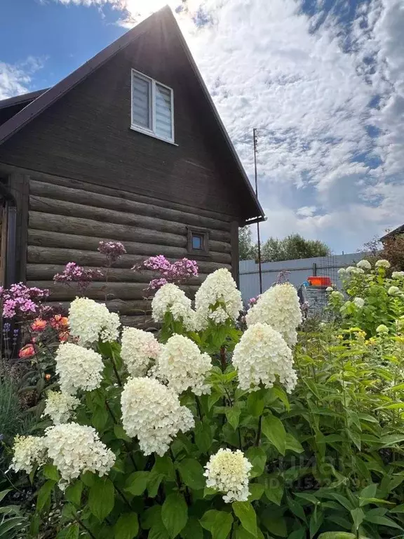 Дом в Калужская область, Боровский район, с. Ворсино ул. Береговая, 8 ... - Фото 0