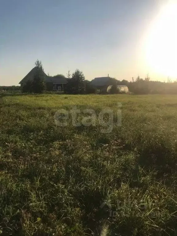 Участок в Вологодская область, Вожегодский муниципальный округ, д. ... - Фото 2