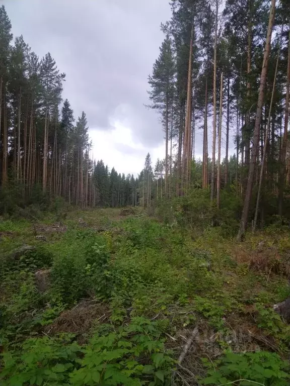 Участок в Свердловская область, Ревда ул. Советских Космонавтов (10.0 ... - Фото 0