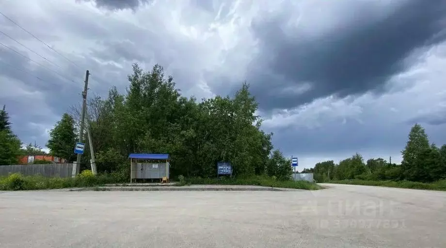 Участок в Пермский край, Березники муниципальный округ, д. Белая Пашня ... - Фото 1
