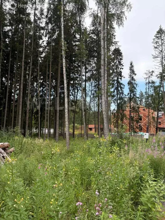 Участок в Химки, ТСН Новогорск Лес (17.5 м) - Фото 1