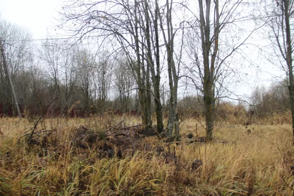 Участок в Московская область, Шаховская муниципальный округ, д. ... - Фото 1